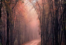 2022年8月12日鄯善县新增确诊病例情况_57121