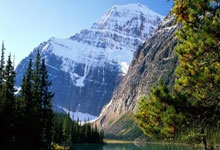 岳池新增1例无症状感染者  岳池县疫情防控最新通报_37669