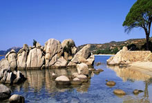 岳池新增1例无症状感染者  岳池县疫情防控最新通报_37669